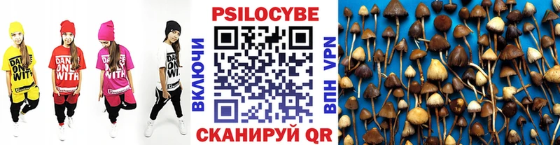 Галлюциногенные грибы GOLDEN TEACHER  MEGA ТОР  Дятьково  наркошоп 